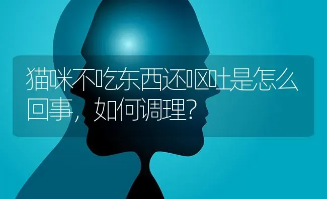 母比熊生一胎还是绝育？ | 动物养殖问答