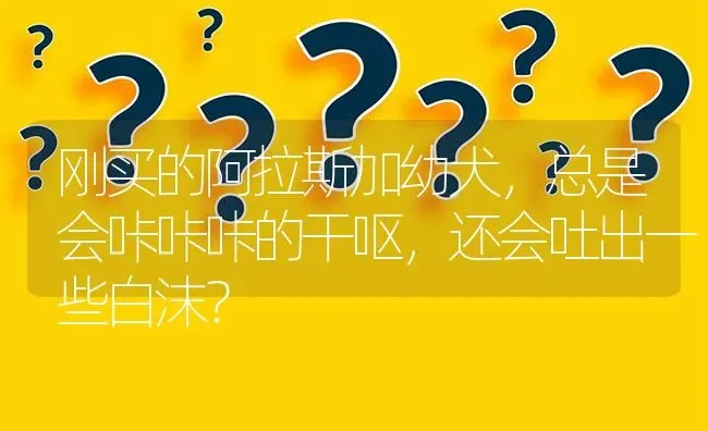 刚买的阿拉斯加幼犬，总是会咔咔咔的干呕，还会吐出一些白沫？ | 动物养殖问答