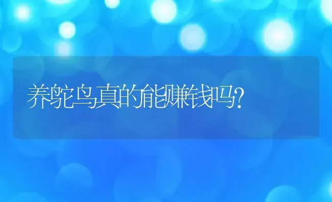 养鸵鸟真的能赚钱吗？ | 动物养殖百科