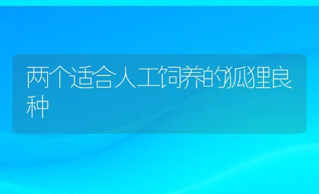 两个适合人工饲养的狐狸良种 | 动物养殖学堂