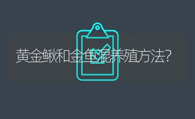 黄金鳅和金鱼混养殖方法？ | 鱼类宠物饲养