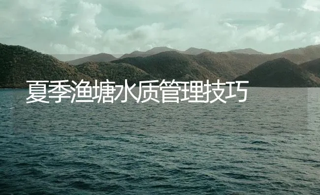 夏季渔塘水质管理技巧 | 海水养殖技术