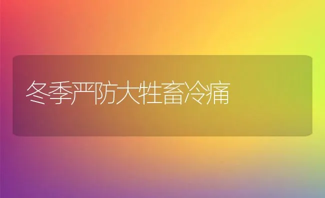 冬季严防大牲畜冷痛 | 动物养殖学堂