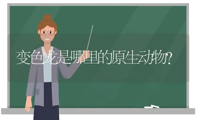 变色龙是哪里的原生动物？ | 动物养殖问答