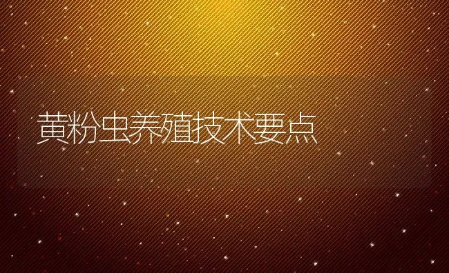 黄粉虫养殖技术要点 | 动物养殖百科