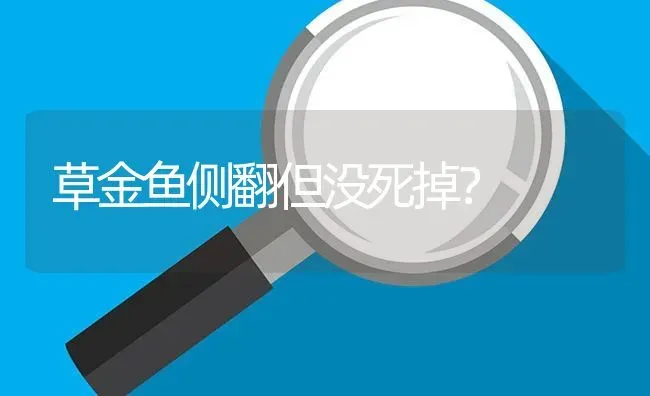 仓鼠宝宝多大可以吃辅食？ | 动物养殖问答