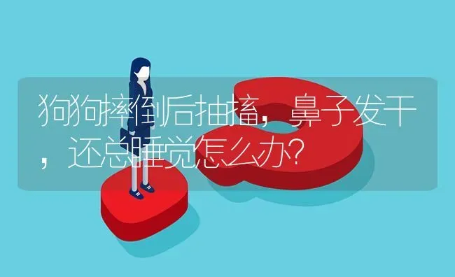 狗狗摔倒后抽搐，鼻子发干，还总睡觉怎么办？ | 动物养殖问答