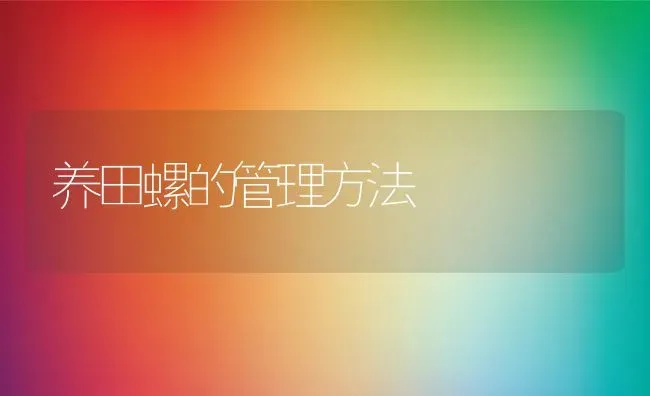 养田螺的管理方法 | 动物养殖百科