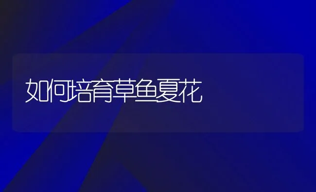 水产饲料中鱼粉的替代物 | 海水养殖技术