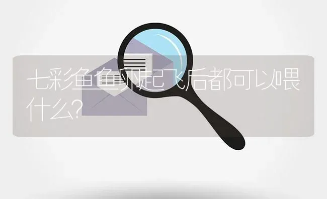 七彩鱼鱼卵起飞后都可以喂什么？ | 鱼类宠物饲养