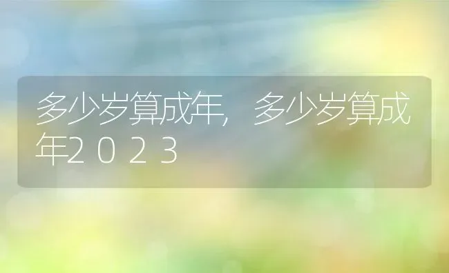 多少岁算成年,多少岁算成年2023 | 宠物百科知识