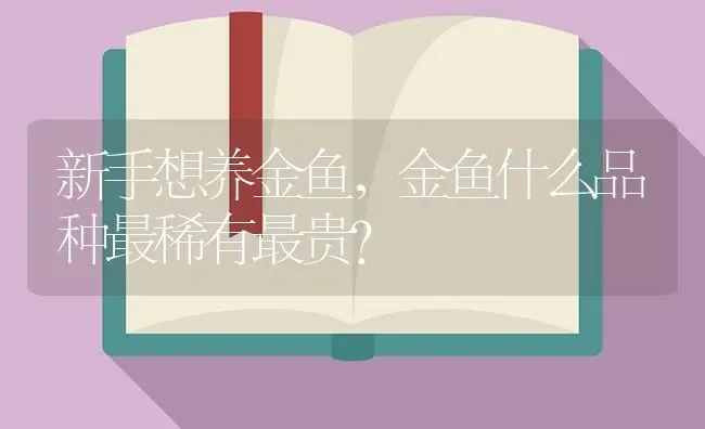 迷你鹦鹉鱼一厘米的多久才能繁殖？ | 鱼类宠物饲养