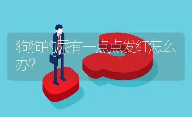 狗狗的尿有一点点发红怎么办？ | 动物养殖问答