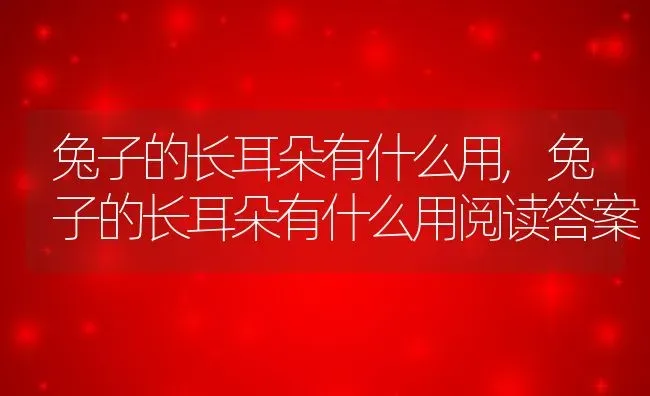 兔子的长耳朵有什么用,兔子的长耳朵有什么用阅读答案 | 宠物百科知识