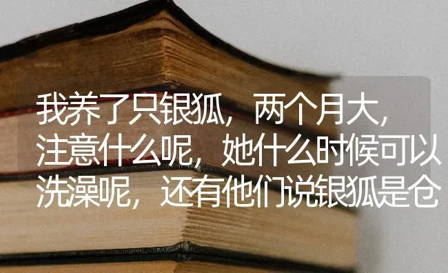 我养了只银狐，两个月大，注意什么呢，她什么时候可以洗澡呢，还有他们说银狐是仓鼠的一种，是不是？ | 动物养殖问答