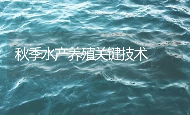 秋季水产养殖关键技术 | 海水养殖技术