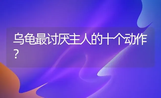 乌龟最讨厌主人的十个动作？ | 动物养殖问答