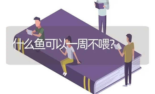 什么鱼可以一周不喂？ | 鱼类宠物饲养