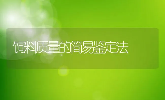 天气转冷后乌龟养殖的管理技术要点 | 海水养殖技术