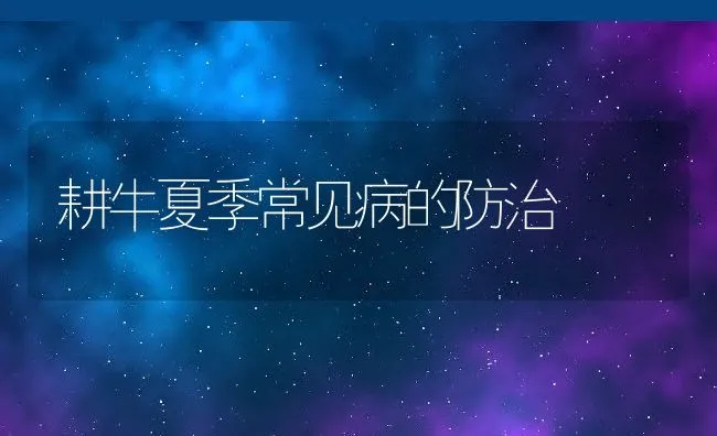 母猪产后发生便秘的几种常见原因 | 动物养殖学堂