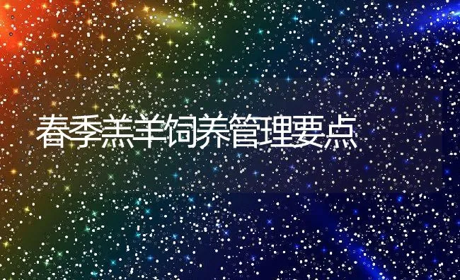 春季羔羊饲养管理要点 | 动物养殖学堂