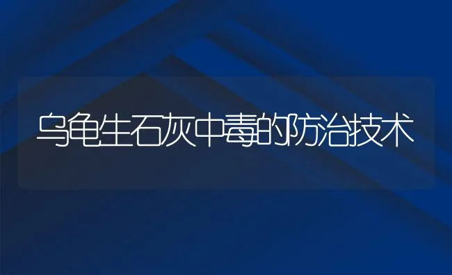 乌龟生石灰中毒的防治技术 | 水产养殖知识