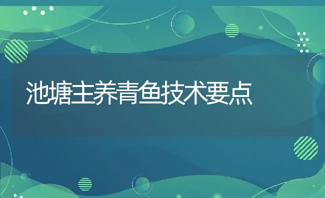 池塘主养青鱼技术要点 | 动物养殖饲料