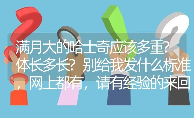 满月大的哈士奇应该多重?体长多长?别给我发什么标准，网上都有，请有经验的来回答，我家的小哈满月才2斤+？ | 动物养殖问答