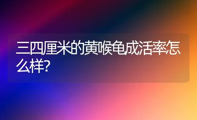 三四厘米的黄喉龟成活率怎么样？ | 动物养殖问答