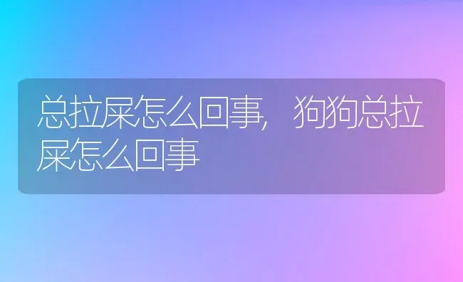 总拉屎怎么回事,狗狗总拉屎怎么回事 | 宠物百科知识