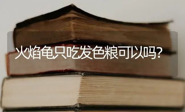 火焰龟只吃发色粮可以吗？ | 动物养殖问答