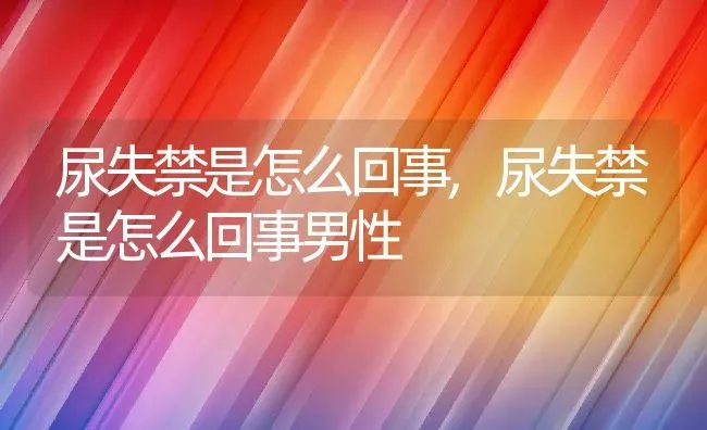 尿失禁是怎么回事,尿失禁是怎么回事男性 | 宠物百科知识