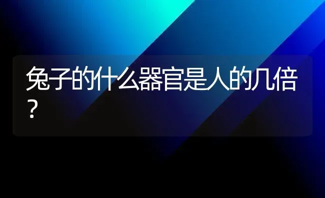 兔子的什么器官是人的几倍？ | 动物养殖问答