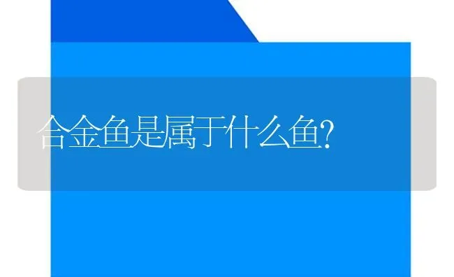 合金鱼是属于什么鱼？ | 鱼类宠物饲养