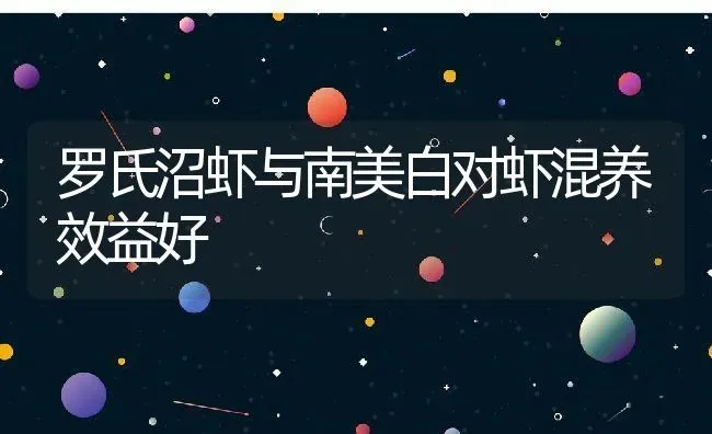 罗氏沼虾与南美白对虾混养效益好 | 动物养殖百科