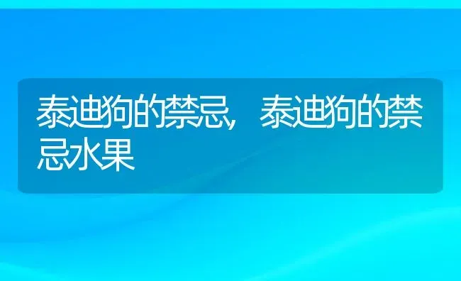 泰迪狗的禁忌,泰迪狗的禁忌水果 | 宠物百科知识