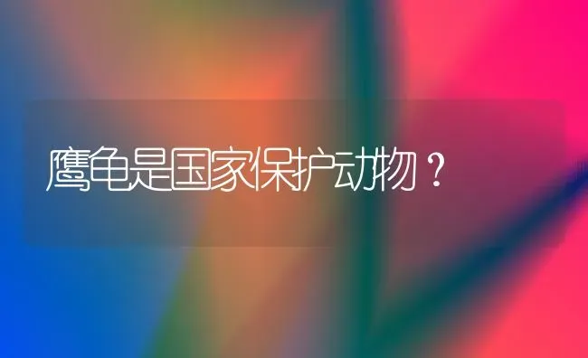 鹰龟是国家保护动物？ | 动物养殖问答