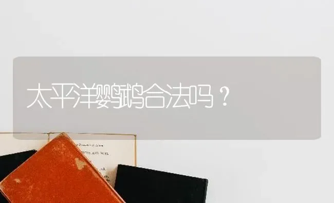 太平洋鹦鹉合法吗？ | 动物养殖问答