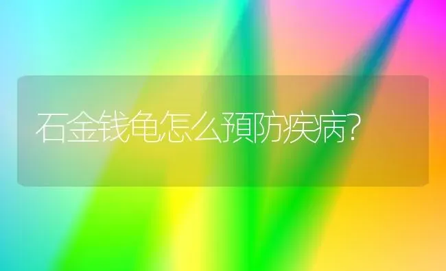 石金钱龟怎么預防疾病？ | 动物养殖问答