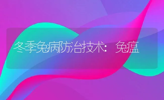 冬季兔病防治技术:兔瘟 | 动物养殖学堂