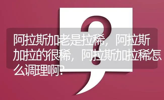 阿拉斯加老是拉稀，阿拉斯加拉的很稀，阿拉斯加拉稀怎么调理啊？ | 动物养殖问答