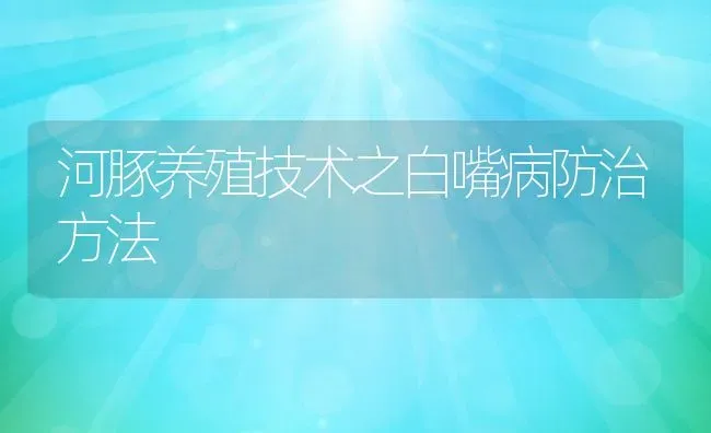 河豚养殖技术之白嘴病防治方法 | 动物养殖教程