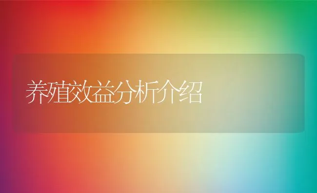 养殖效益分析介绍 | 动物养殖饲料