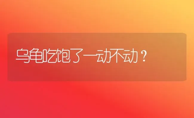 乌龟吃饱了一动不动？ | 动物养殖问答