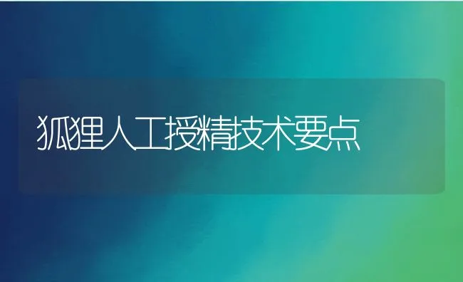 狐狸人工授精技术要点 | 动物养殖学堂