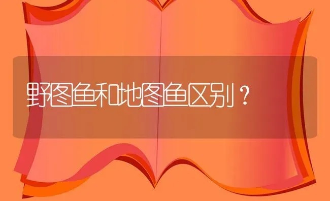 野图鱼和地图鱼区别？ | 鱼类宠物饲养