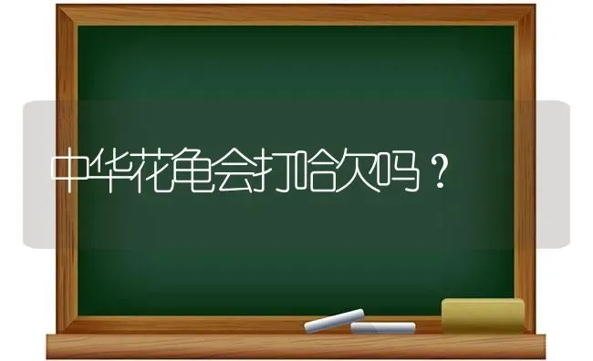 为什么阿拉斯加这么凶？ | 动物养殖问答