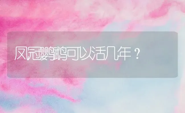 凤冠鹦鹉可以活几年？ | 动物养殖问答