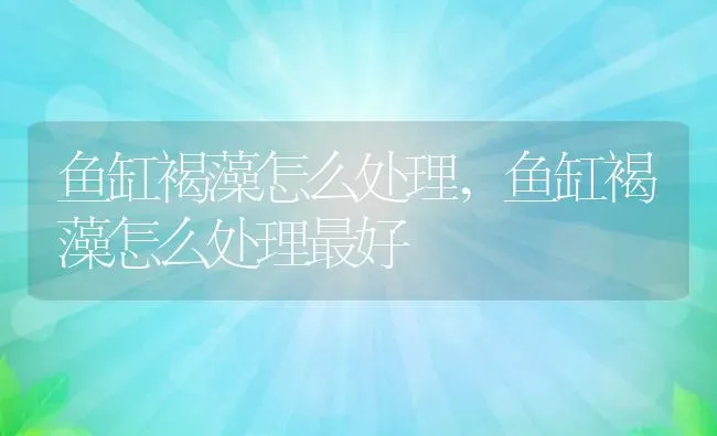 鱼缸褐藻怎么处理,鱼缸褐藻怎么处理最好 | 宠物百科知识