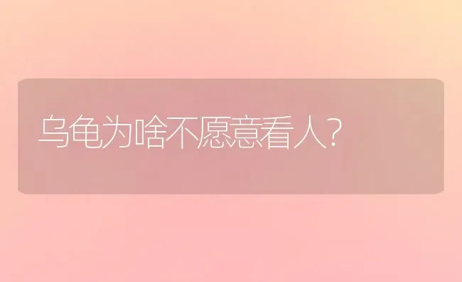 老年人适合养狗吗？ | 动物养殖问答